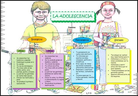 Cambios biológicos y conductuales en el celo oculto